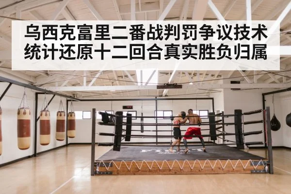 乌西克富里二番战判罚争议技术统计还原十二回合真实胜负归属