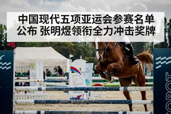 equestrian show jumping horse