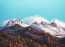 半岛体育在线-NBA新劳资协议不止勇士受益 篮网也能节省开支